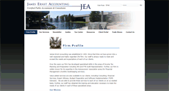 Desktop Screenshot of ernst-cpa.com